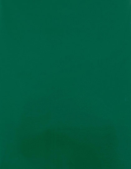 SA909_Green-400-(ca.-Pantone-7727C).jpg