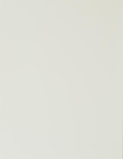 SA910_White-001.jpg