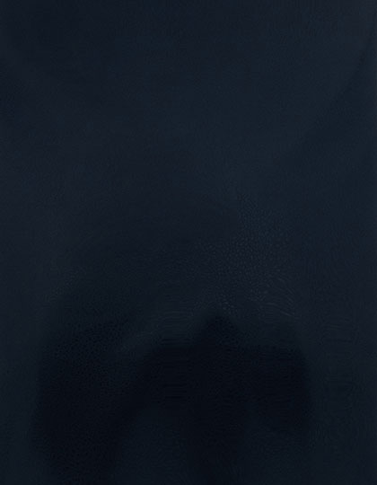 SA100_Deep-Navy-335-(ca.-Pantone-2378C).jpg