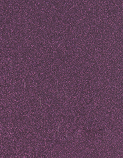 SA200_Glitter-Eggplant-954.jpg