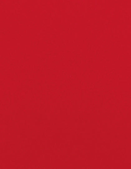 SA350_Signal-Red-210-(ca.-Pantone-199C).jpg