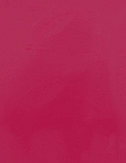 SA100_Fuchsia-250-(ca.-Pantone-214C).jpg