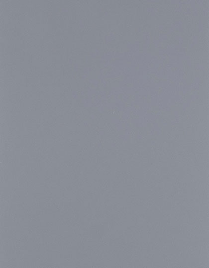 SA909_Grey-730-(ca.-Pantone-422C).jpg