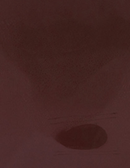 SA100_Brown-550-(ca.-Pantone-7616C).jpg