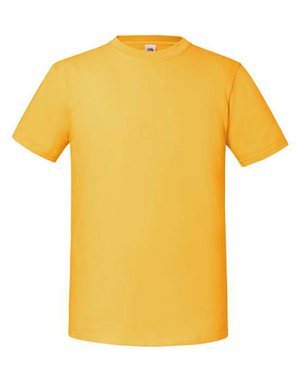 F185_Sunflower.jpg