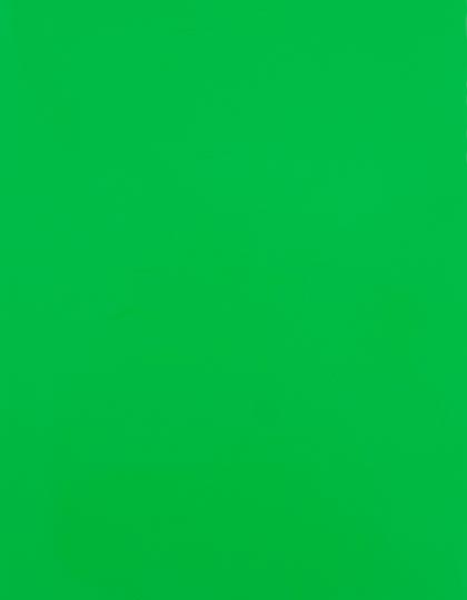 SA100_Neon-Green-401.jpg