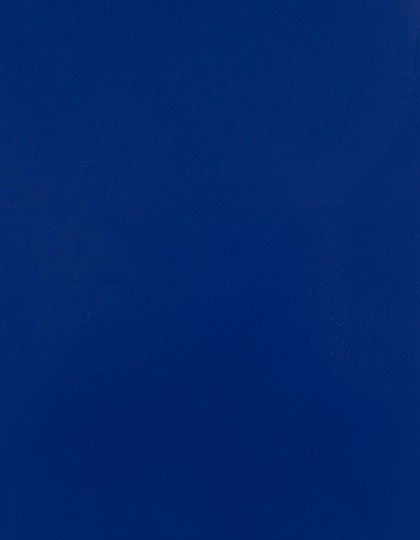 SA909_Royal-Blue-300-(ca.-Pantone-286C).jpg