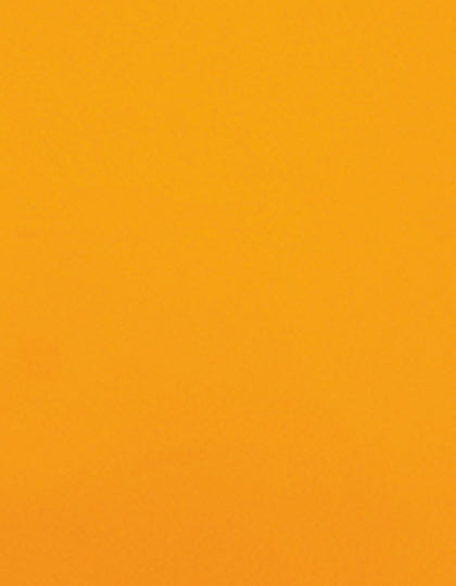 SA100_Neon-Orange-181.jpg