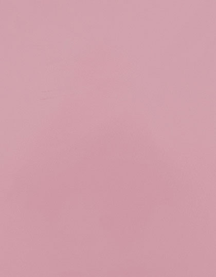 SA100_Rose-Pink-256-(ca.-Pantone-694-C).jpg