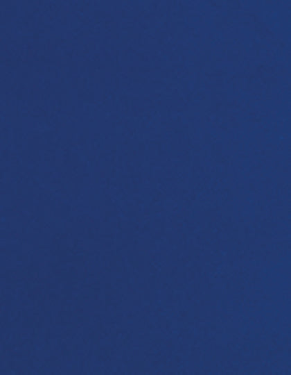 SA350_Sky-Blue-(ca.-Pantone-2131C).jpg