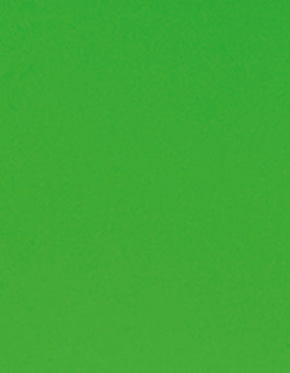 SA350_Neon-Green-401.jpg