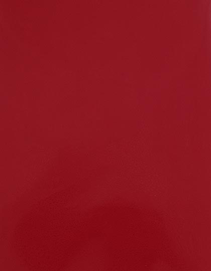 SA910_Red-200-(ca.-Pantone-186C).jpg