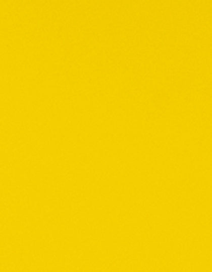 SA350_Lemon-100-(ca.-Pantone-Yellow-012C).jpg