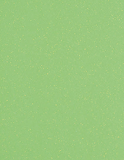SA200_Glitter-Neon-Green-937.jpg