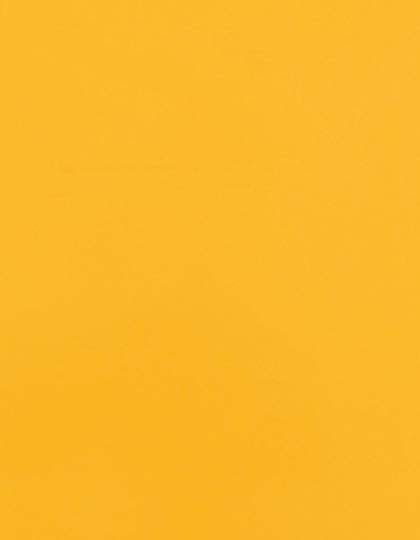 SA100_Sunflower-Yellow-106-(ca.-Pantone-137C).jpg