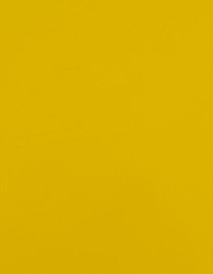 SA100_Yellow-110-(ca.-Pantone-012C).jpg