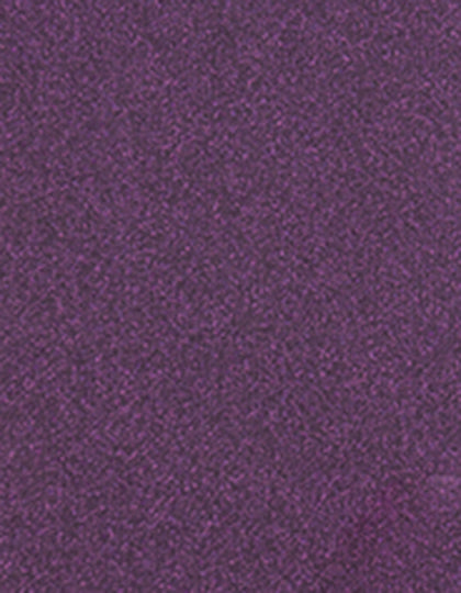 SA200_Glitter-Purple-924.jpg