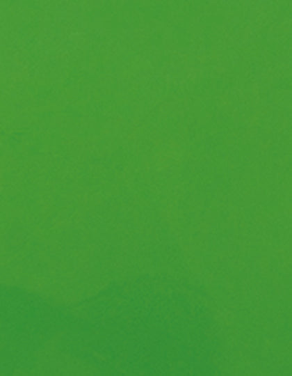 SA100_Light-Green-422-(ca.-Pantone-362C).jpg