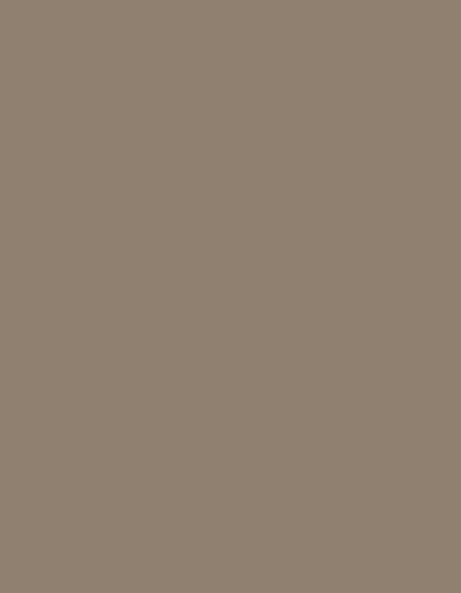 MD410_7936-Brown.jpg