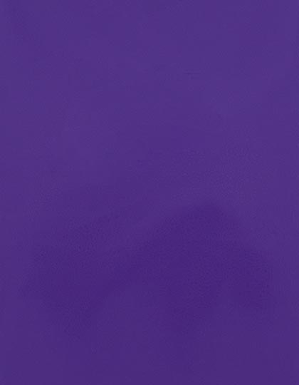 SA150_Purple-280-(ca.-Pantone-2096C).jpg