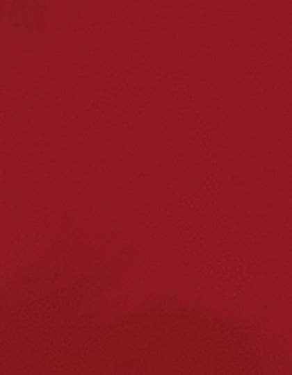 SA100_Red-200-(ca.-Pantone-186C).jpg