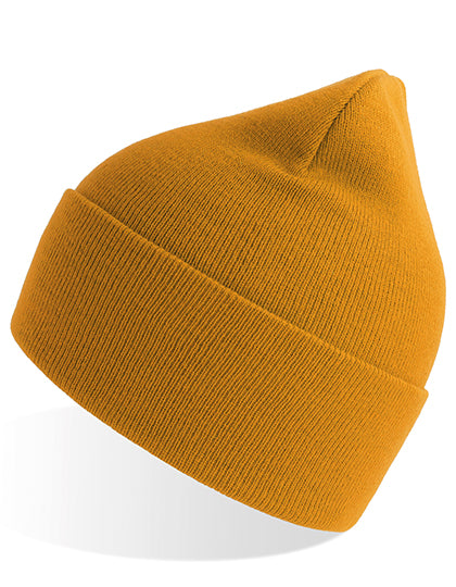AT805_Mustard.jpg