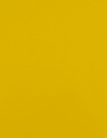 SA903_Yellow-110-(ca.-Pantone-012C).jpg