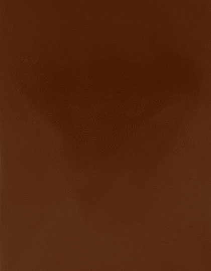 SA100_Medium-Brown-555-(ca.-Pantone-2472C).jpg