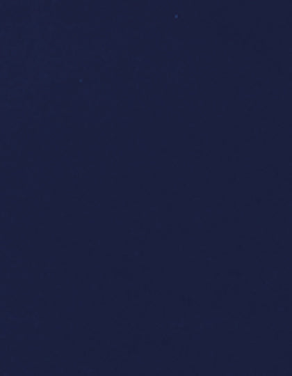 SA350_Navy-350-(ca.-Pantone-534C).jpg