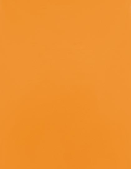SA150_Light-Orange-185-(ca.-Pantone-1495C).jpg