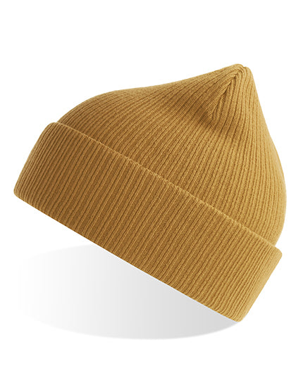 AT116_Mustard.jpg