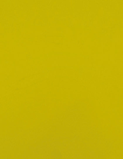 SA100_Lemon-100-(ca.-Pantone-7405C).jpg