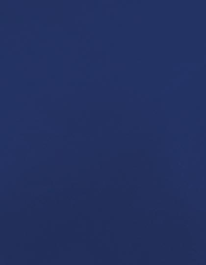 SA100_Royal-Blue-300-(ca.-Pantone-286C).jpg