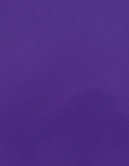 SA100_Purple-280-(ca.-Pantone-2096C).jpg
