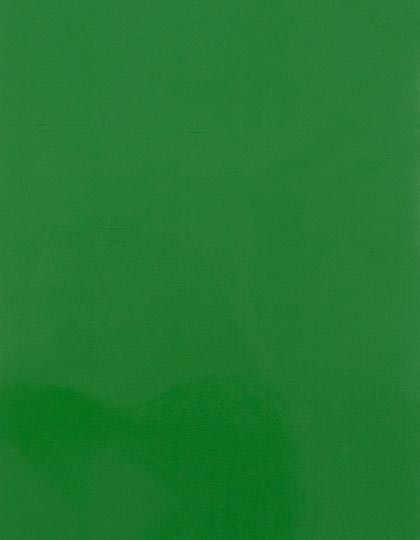 SA300_Light-Green-422-(ca.-Pantone-362C).jpg