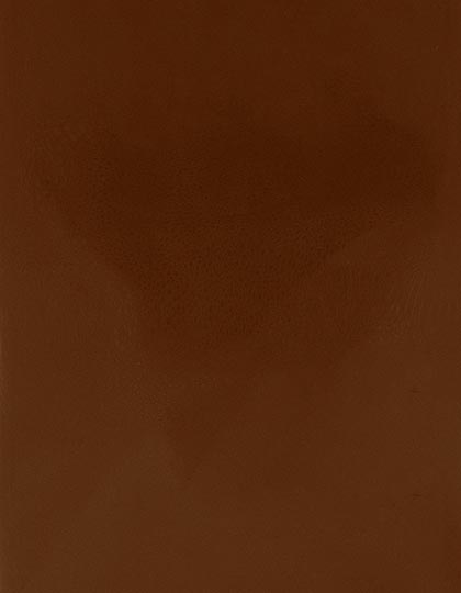 SA150_Medium-Brown-555-(ca.-Pantone-2472C).jpg