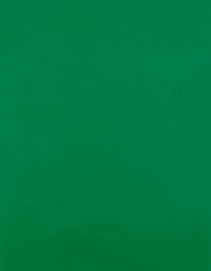 SA903_Green-400-(ca.-Pantone-7727C).jpg