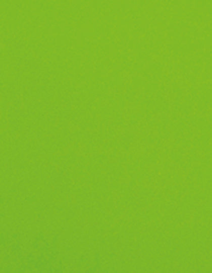 SA350_Lime-Green-405-(ca.-Pantone-367C).jpg