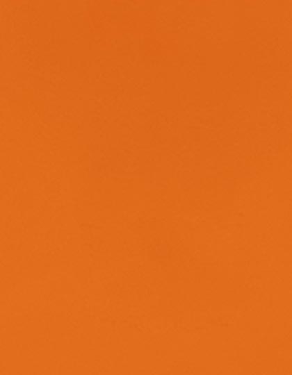SA100_Texas-Orange-182-(ca.-Pantone-4013C).jpg