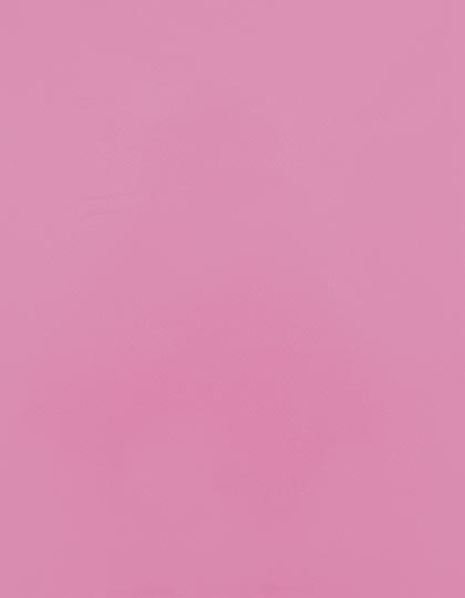 SA150_Pink-252-(ca.-Pantone-507C).jpg