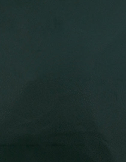 SA100_Dark-Green-410-(ca.-Pantone-560C).jpg