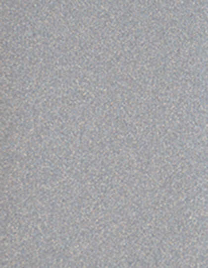 SA200_Glitter-Holo-Silver-951.jpg