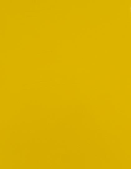 SA150_Yellow-110-(ca.-Pantone-012C).jpg