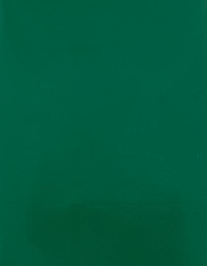 SA910_Green-400-(ca.-Pantone-7727C).jpg