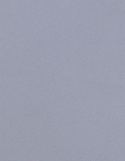 SA350_Cool-Grey-730-(ca.-Pantone-Cool-Gray-6C).jpg