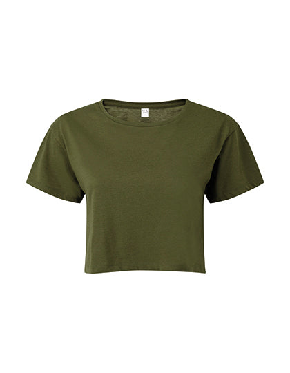 TR019_Olive.jpg