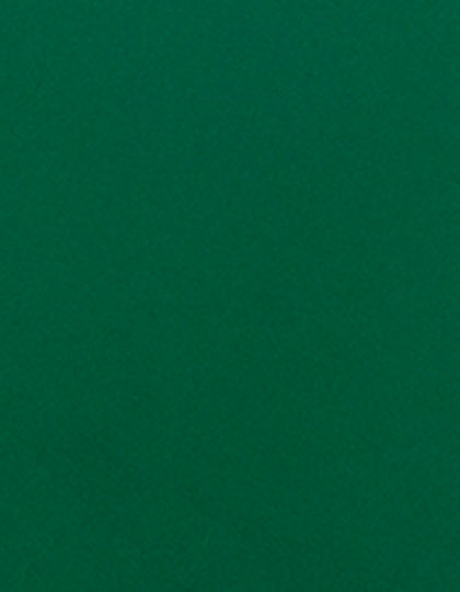 SA350_Green-400-(ca.-Pantone-7733C).jpg