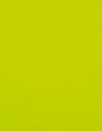 SA100_Neon-Yellow-101.jpg