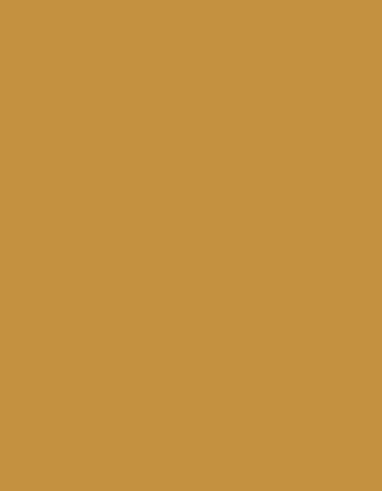 MD410_7725-Orange.jpg