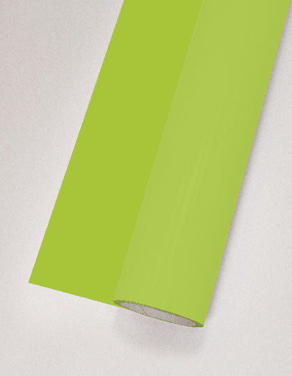 T100_Light-Green-(ca.-Pantone-366C).jpg